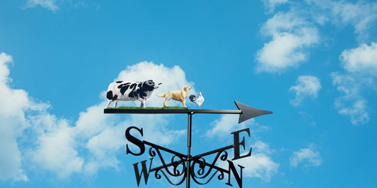 How to Choose the Best Weathervane for Your Home in the UK