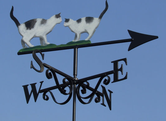 Tiddles Cat and Kitten Artist Painted