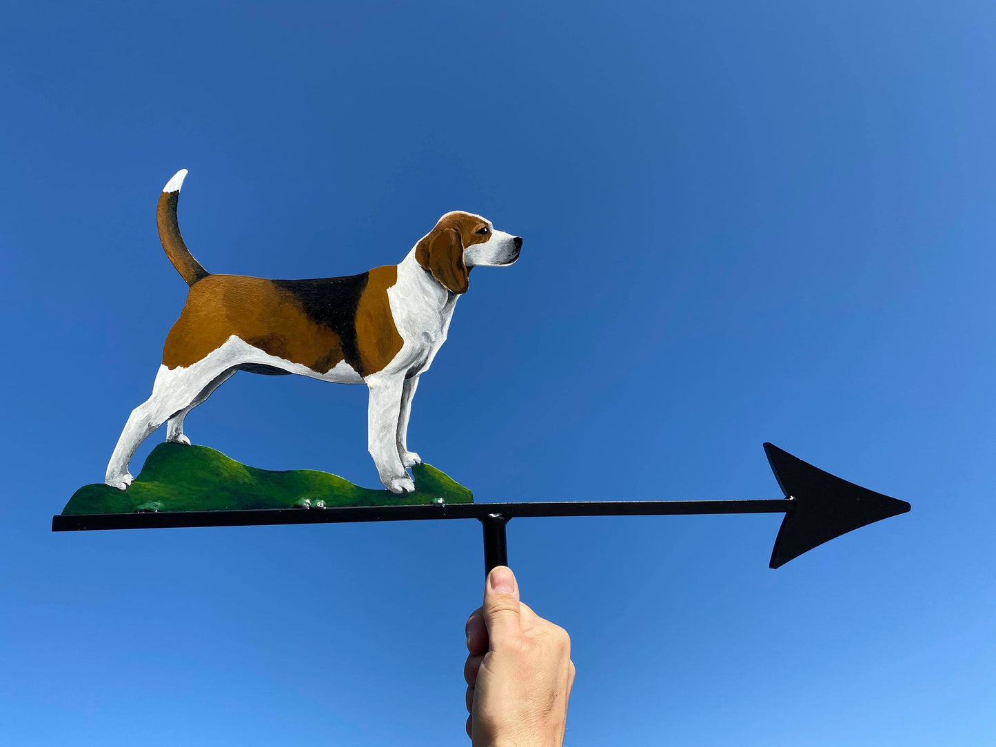 Beagle Artist Painted