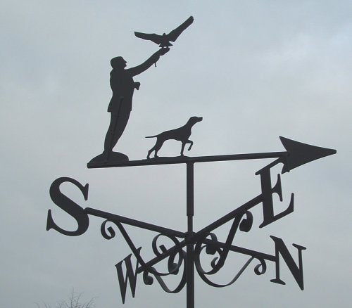 Falconer
