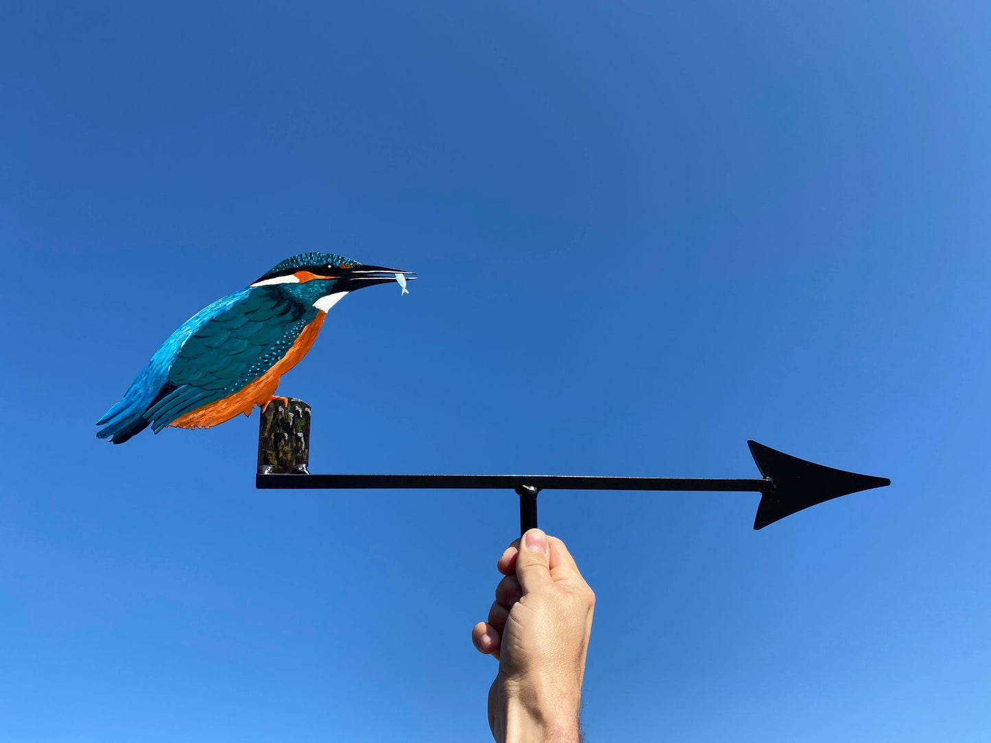 Kingfisher Artist Painted
