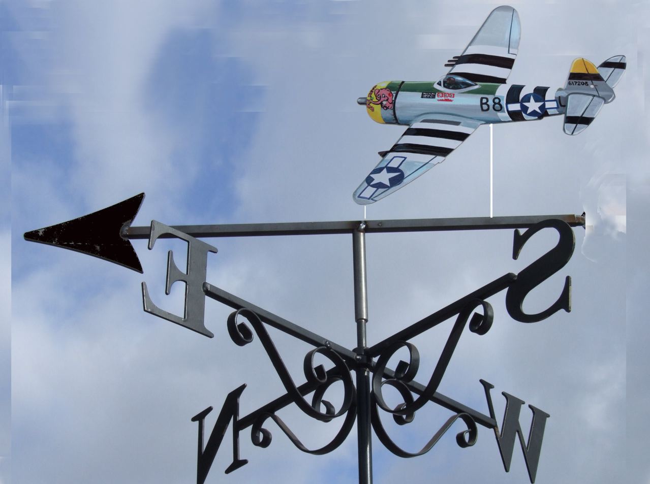 Thunderbolt P47 Artist Painted