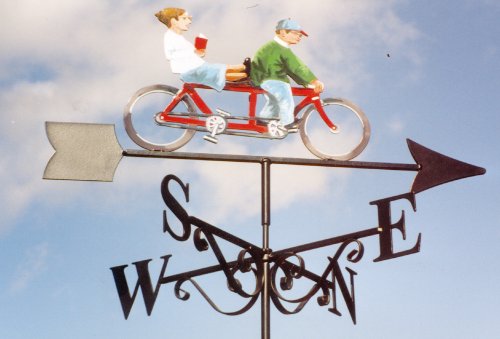 Cycling Tandem Artist Painted