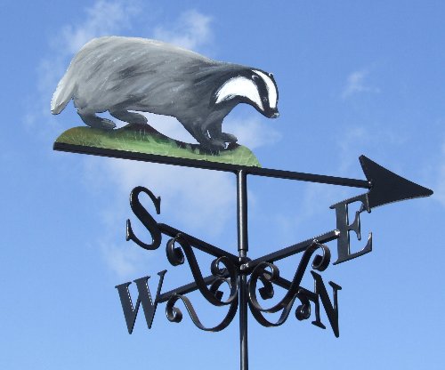 Badger Artist Painted