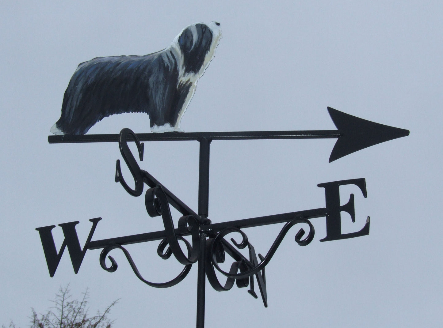 Bearded Collie Artist Painted