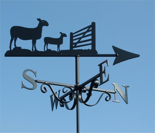Blue Faced Leicester & Gate