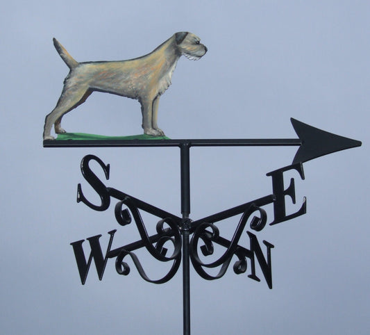 Border Terrier Artist Painted