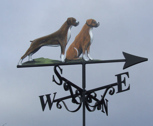 Boxers Sit Stand Artist Painted