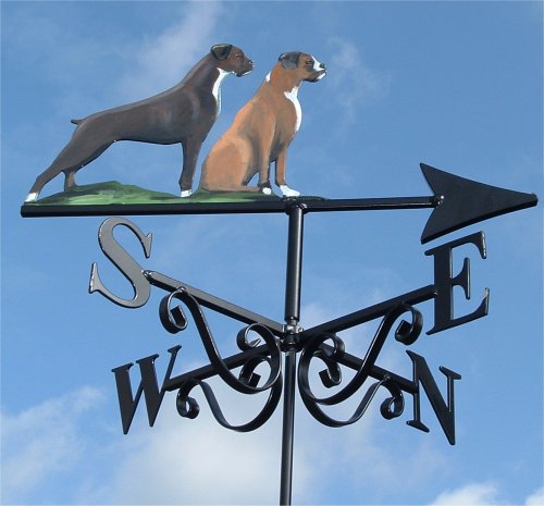 Boxers Sit Stand Artist Painted