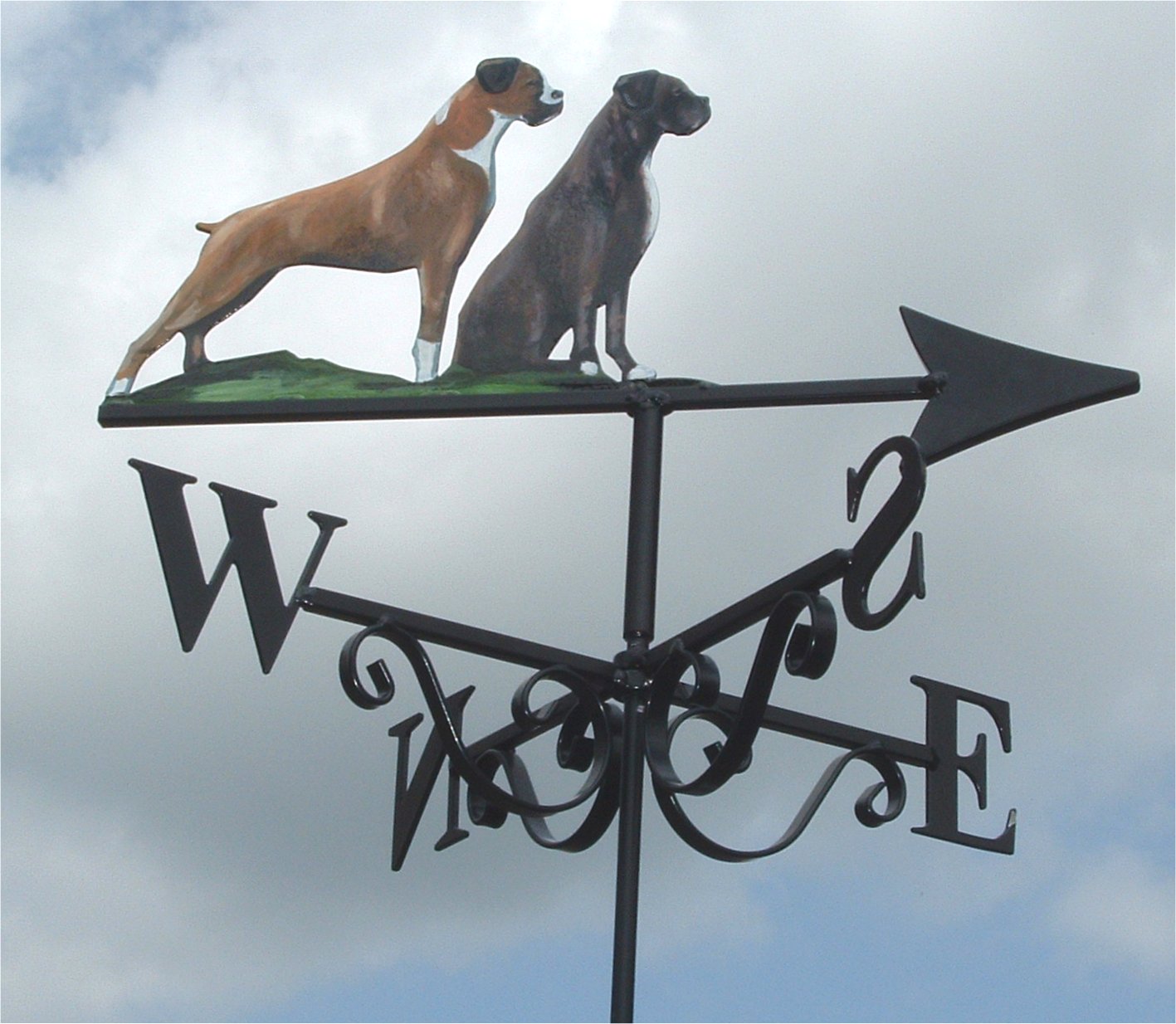Boxers Sit Stand Artist Painted