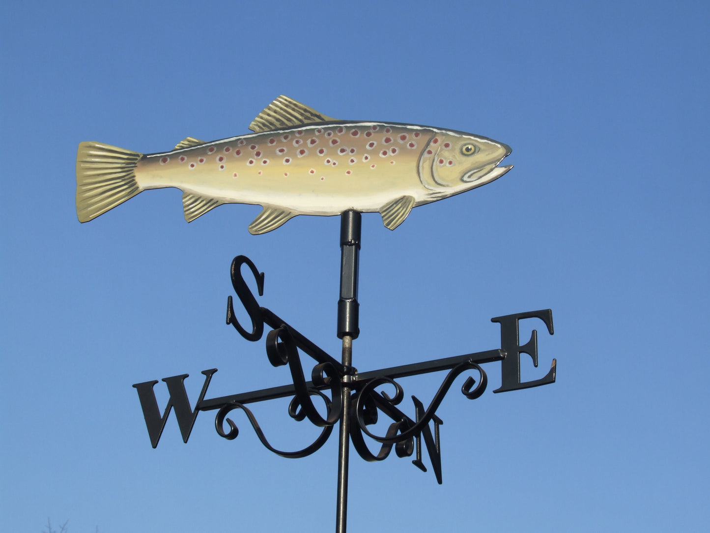 Trout Artist Painted