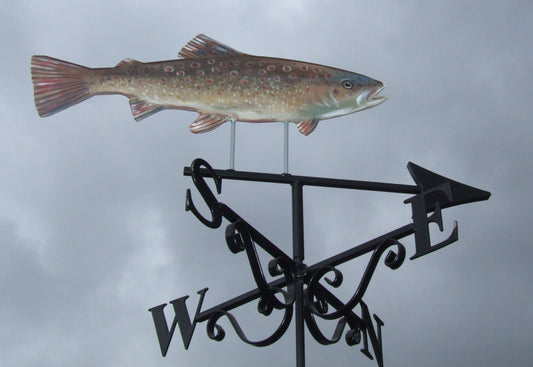 Fishing Brown Trout Artist Painted