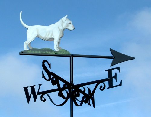 Bull Terrier Artist Painted