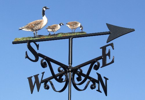 Canada Geese Artist Painted