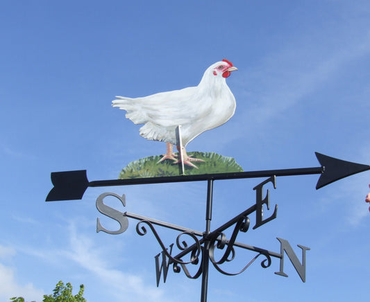 Chicken Artist Painted