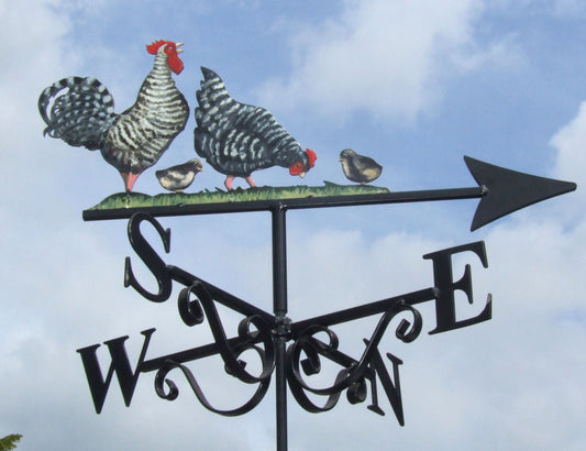 Cockerel Hen Chicks Maran Artist Painted