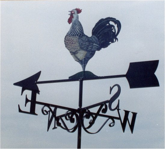 Cockerel Artist Painted (3)