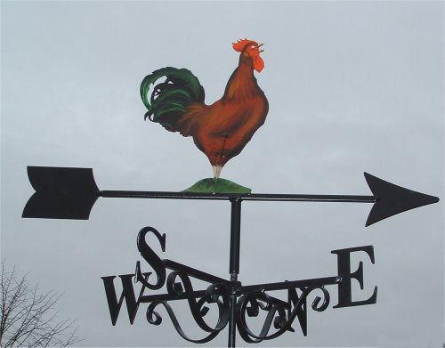 Cockerel Artist Painted (5)