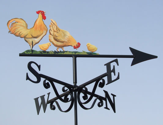 Cockerel Hen Chicks Orpington Artist Painted
