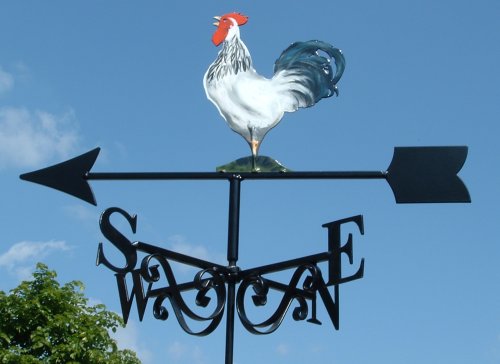 Cockerel Light Sussex Artist Painted