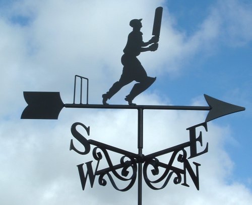 Cricket Batsman