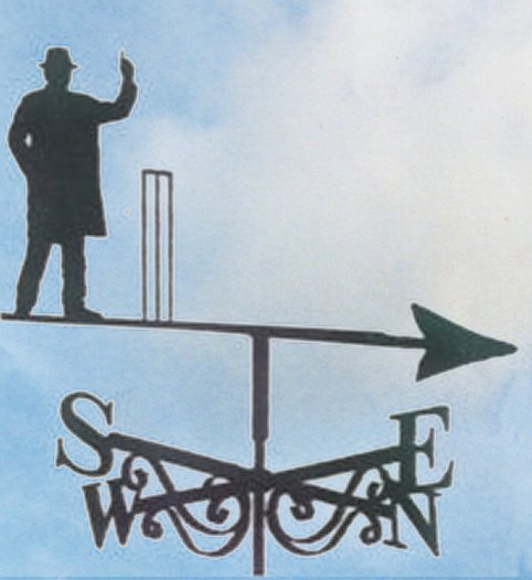 Cricket Umpire
