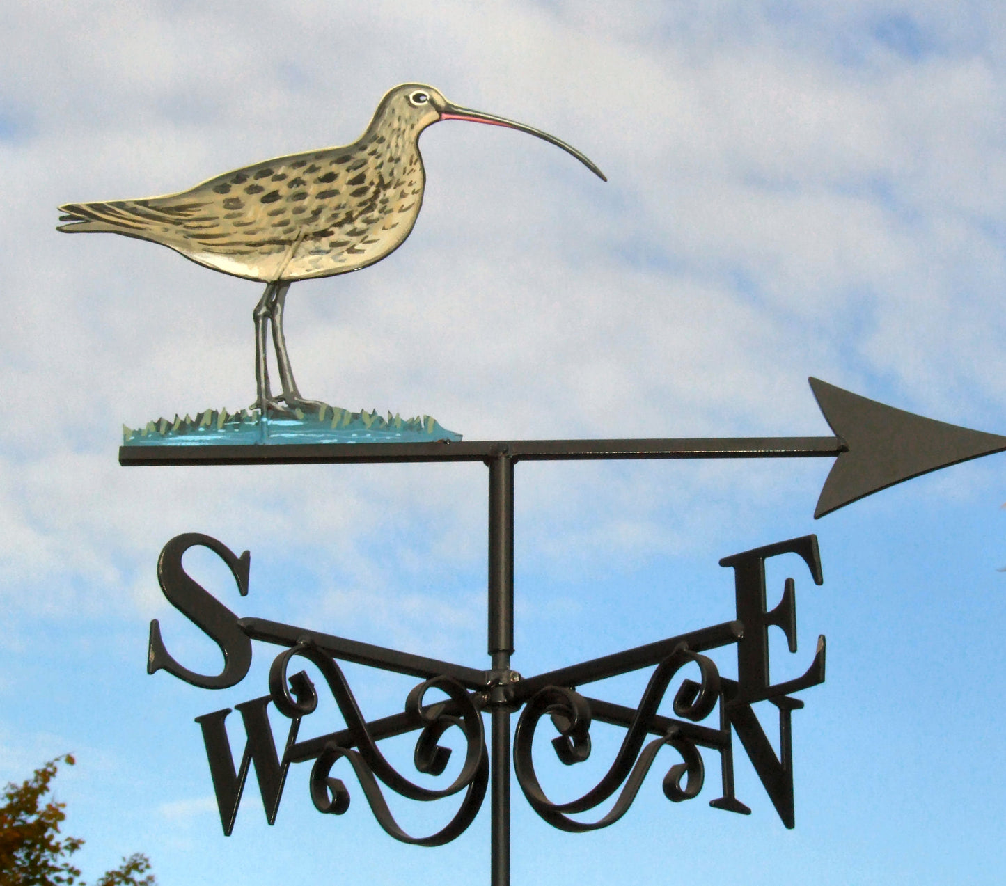 Curlew Artist Painted