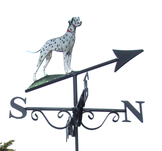 Dalmatian Artist Painted