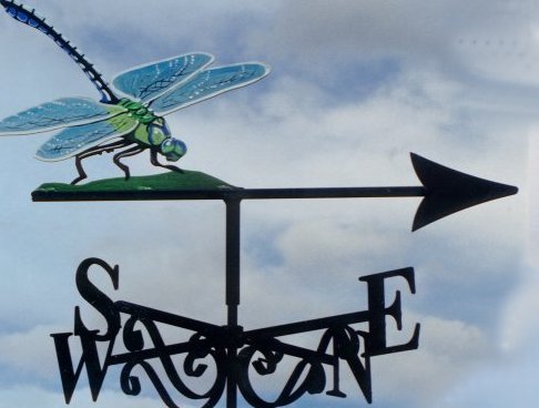 Dragonfly Artist Painted