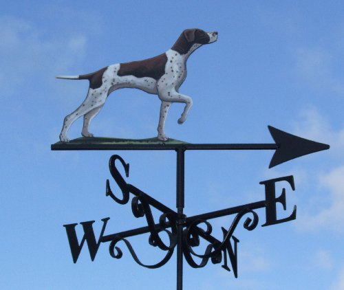 English Pointer Pointing Artist Painted