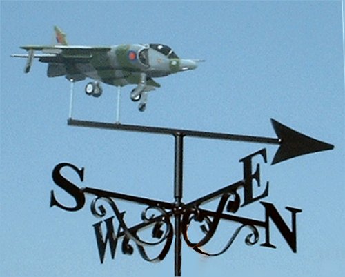 Harrier Jump Jet Artist Painted