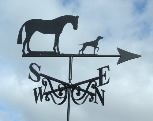 Horse and English Pointer