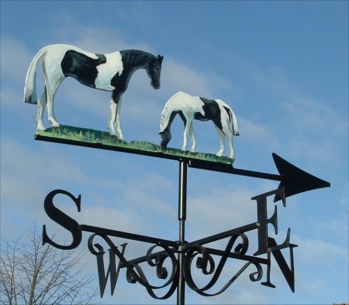 Horse and Grazing Foal Artist Painted