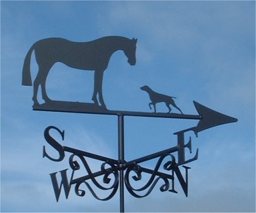 Horse and German Pointer