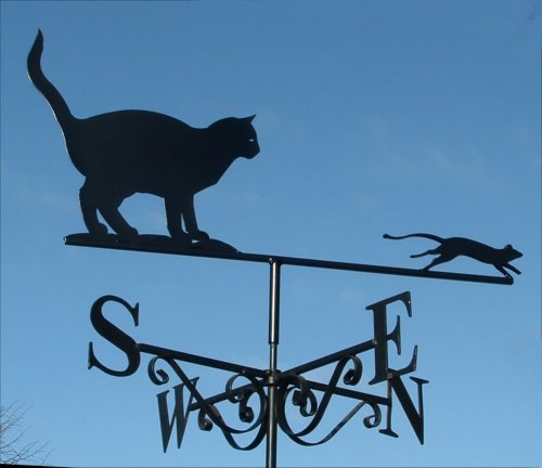 Tiddles Cat and Mouse