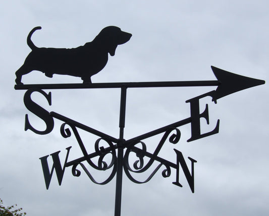 Basset
