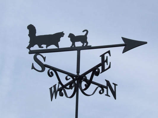 Fluffy and Larry Cats