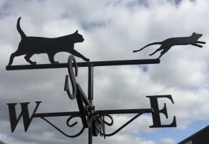 Seline and Jumping Mouse