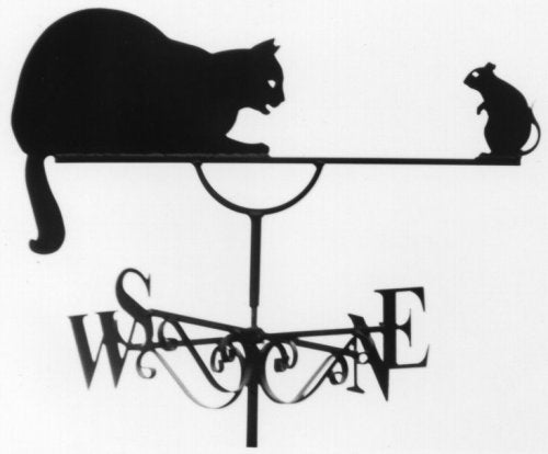Cat and Mouse