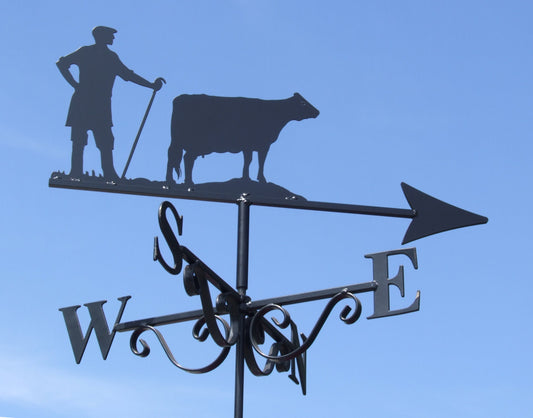Man and Cow