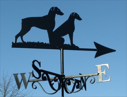 Doberman 2 Docked Tail