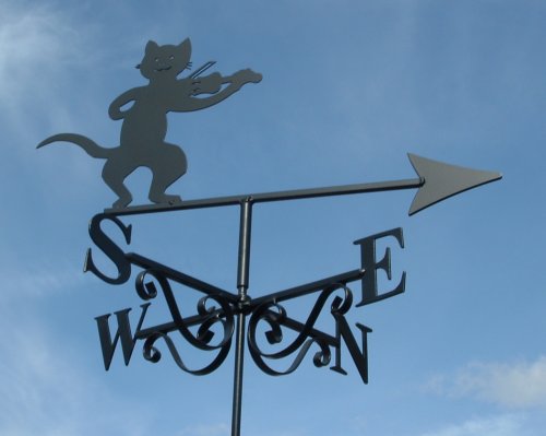 Cat and the Fiddle