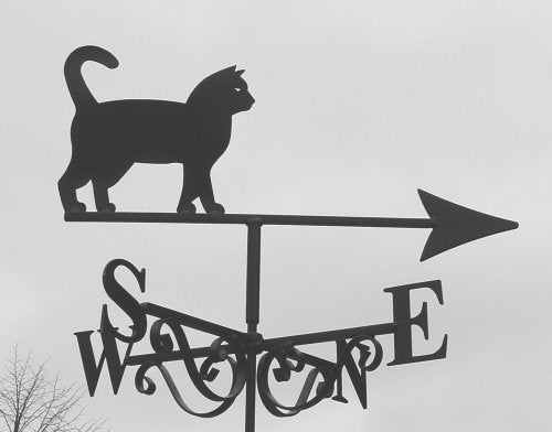 Larry the Cat