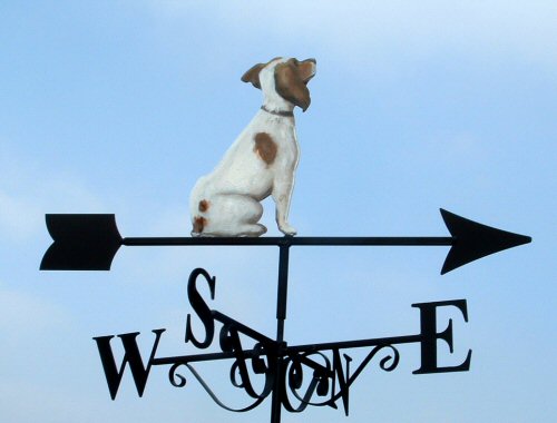 Jack Russel Artist Painted