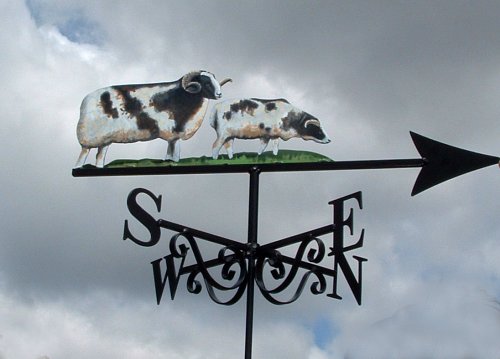 Jacobs Sheep Artist Painted