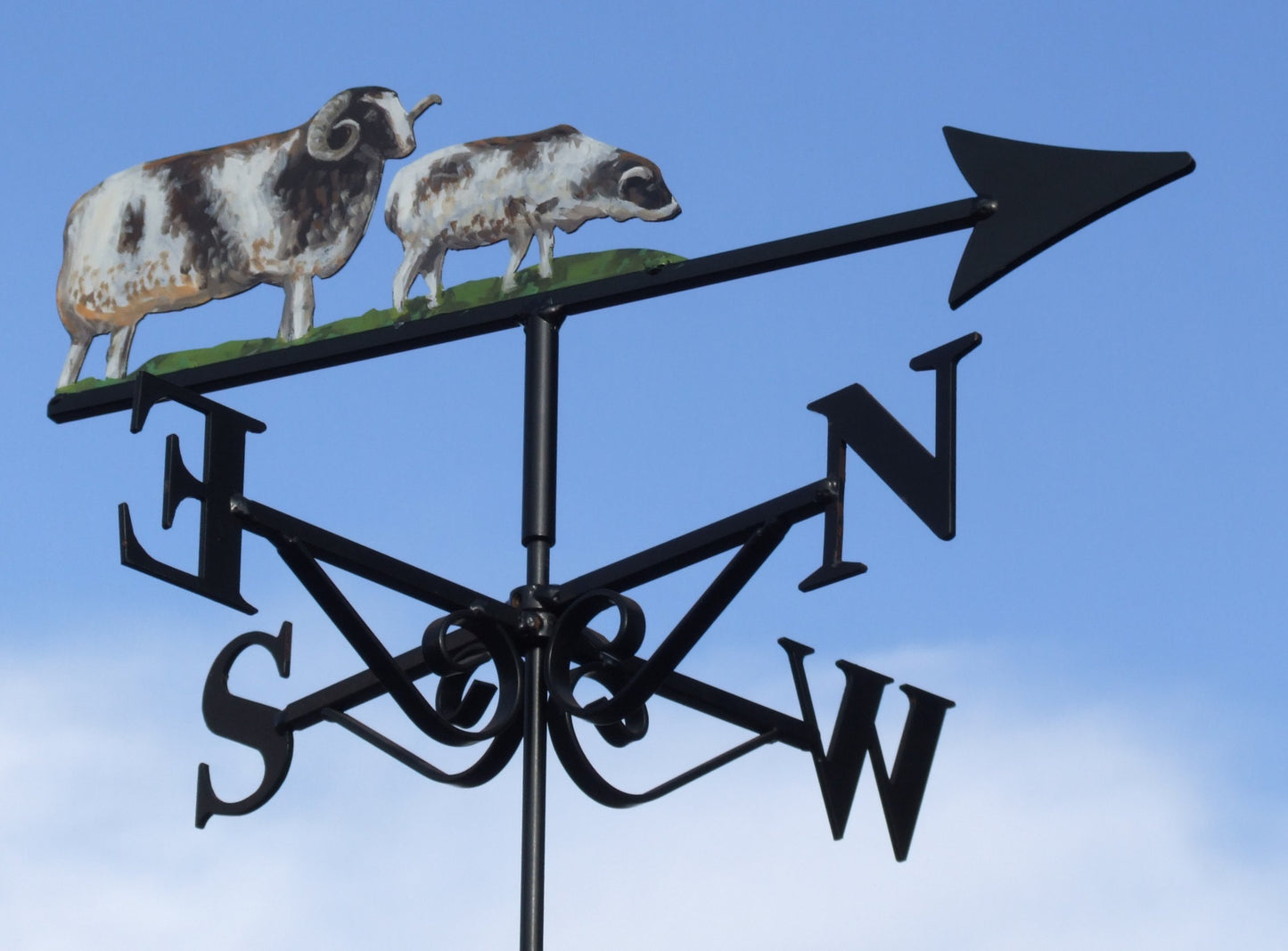 Jacobs Sheep Artist Painted