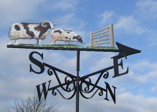 Jacobs Sheep and Gate Artist Painted