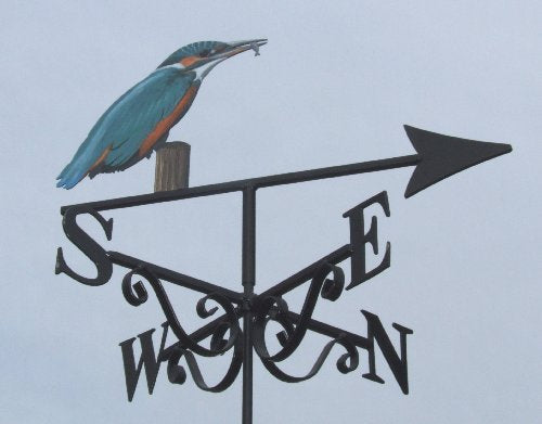 Kingfisher Artist Painted