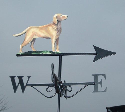 Labrador Light Artist Painted
