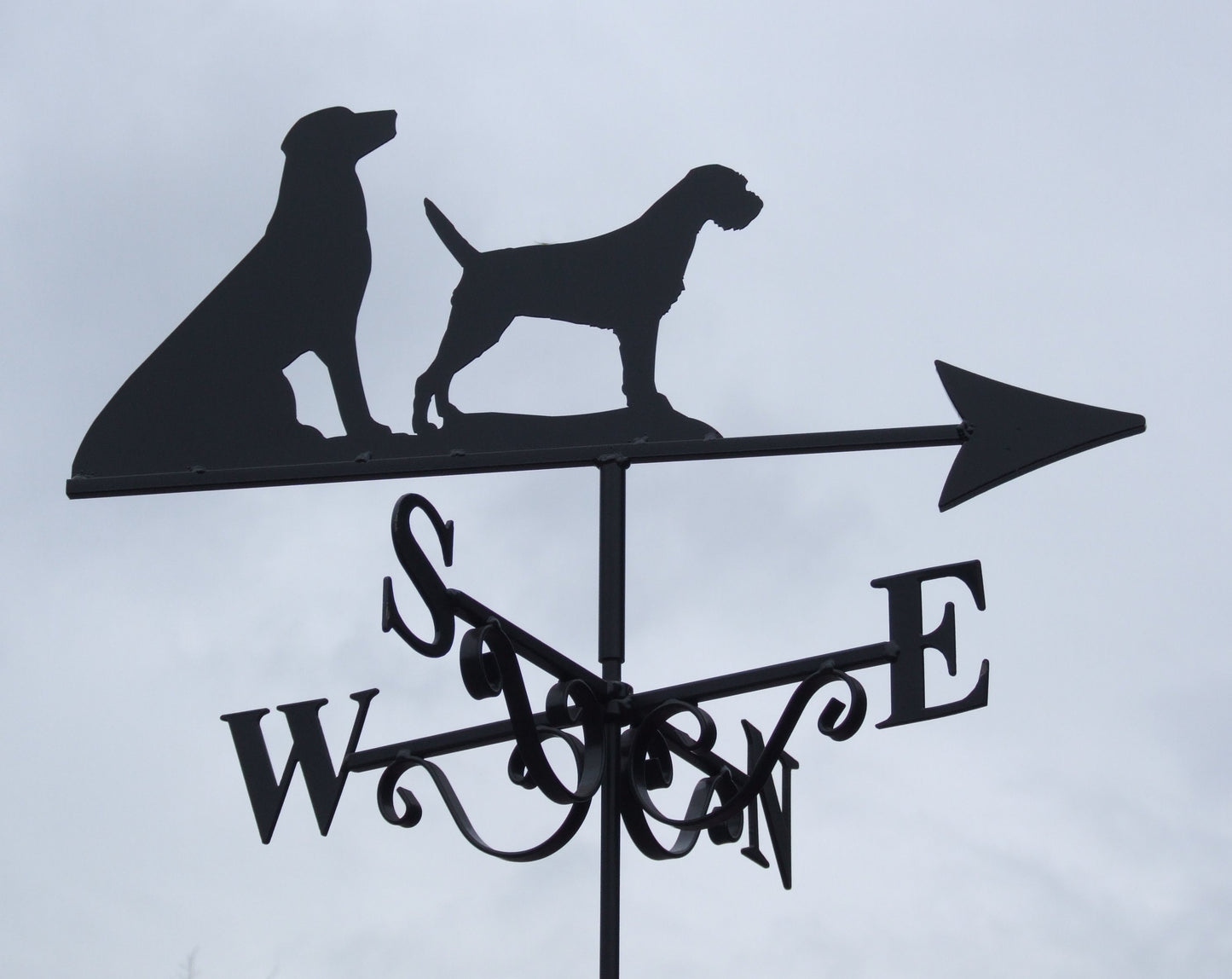 Labrador & Border Terrier